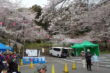 飯山観音の桜祭り出店