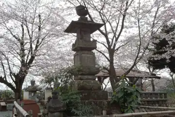 飯山観音の桜が咲く参道