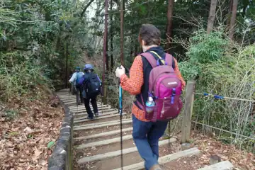 七沢森林公園の遊歩道