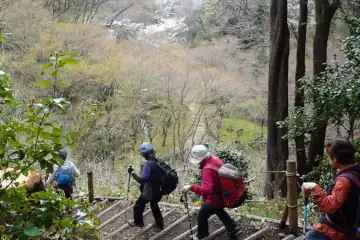 七沢森林公園の桜