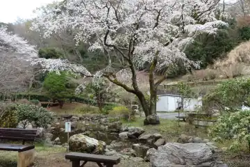 七沢森林公園のせせらぎ広場