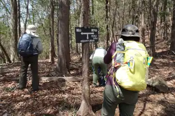 ヤシオ山登山道の鞍部