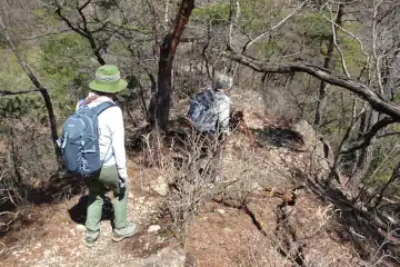 ヤシオ山のやせ尾根