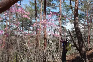 ヤシオ山の山頂
