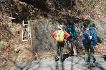 白葉峠
