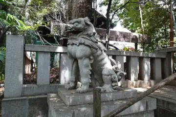 渋谷氷川神社の参道に狛犬