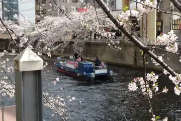目黒川に遊覧船