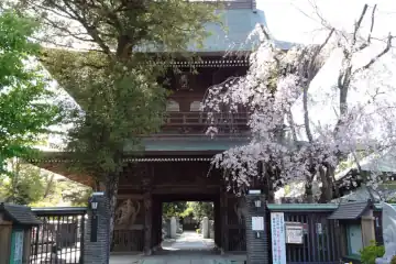 弘安寺の仁王門