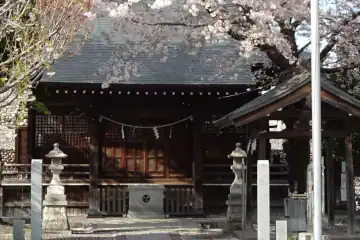 熊野神社の桜が咲く境内