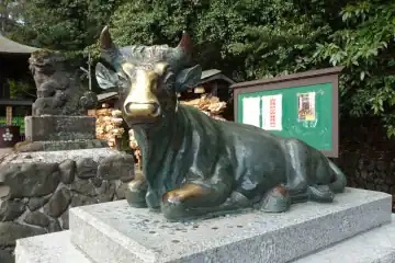 谷保天満宮のなで牛