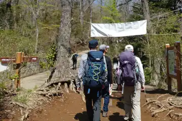 高尾山の５号路分岐