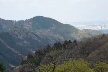 小仏峠から新緑の山肌