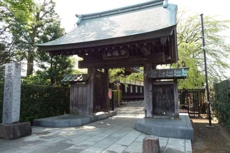 国立市・南養寺の山門