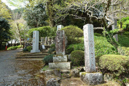 八王子市・寶珠寺