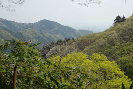 八王子市・小仏峠からは春色に染まる山肌