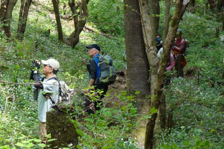 西山峠から草戸山・たくさんの人がカメラを向けています