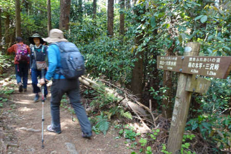 西山峠から草戸山・西山峠