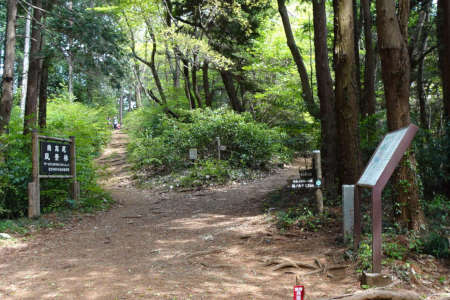 西山峠から草戸山・三沢峠