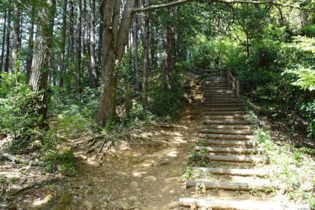 西山峠から草戸山・急な木の階段