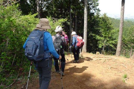 西山峠から草戸山・梅ノ木平を目指します
