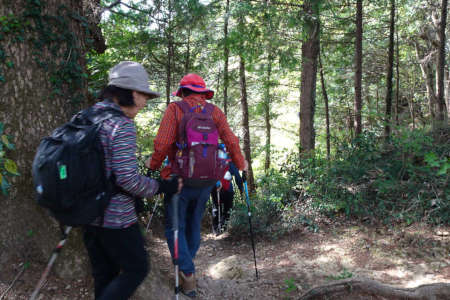 西山峠から草戸山・老人ホームへの道