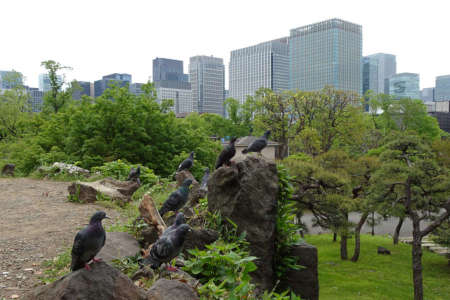 山手線の山・三笠山