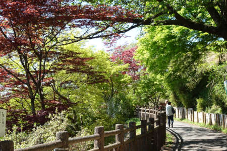 奥ノ院峰、鍋割山、上高岩山・表参道はハイキングの人