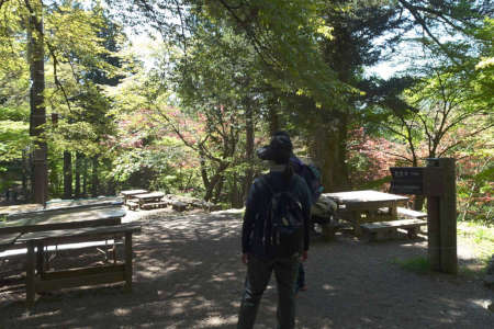 奥ノ院峰、鍋割山、上高岩山・長尾平にベンチ