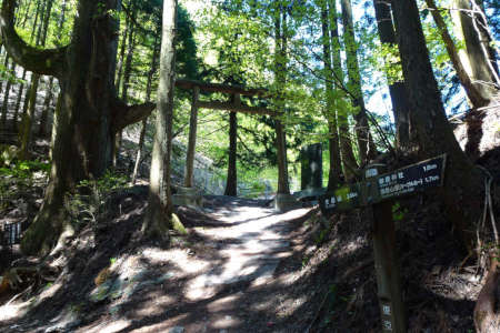 奥ノ院峰、鍋割山、上高岩山・天狗の腰掛け杉から奥ノ院への登り