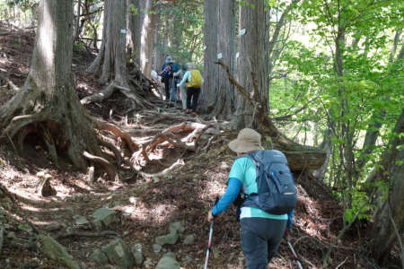 奥ノ院峰、鍋割山、上高岩山・急な登りが続きます