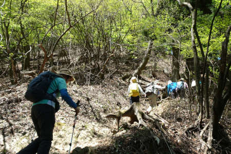 奥ノ院峰、鍋割山、上高岩山・ジグザグを繰り返し
