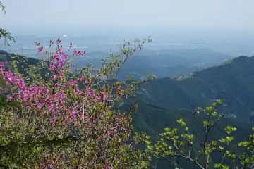 奥ノ院の岩場からの展望