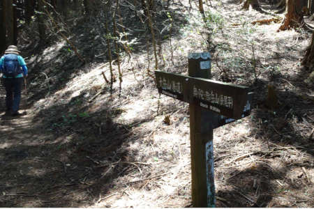 奥ノ院峰、鍋割山、上高岩山・鍋割山の巻き道