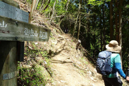 奥ノ院峰、鍋割山、上高岩山・大岳山への分岐に出ました