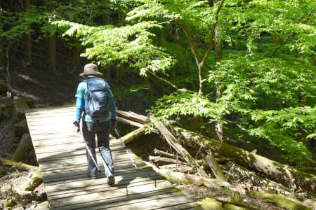 奥ノ院峰、鍋割山、上高岩山・橋に出ました