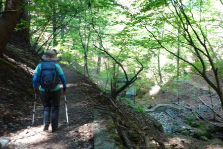 奥ノ院峰、鍋割山、上高岩山・綾広ノ滝の上部を歩きます