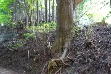 天狗の腰掛け岩