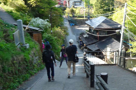 奥ノ院峰、鍋割山、上高岩山・神代ケヤキの坂道を下り
