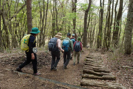 足和田山・新緑の中を小さく下って