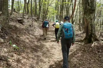 足和田山の緩やかな山道