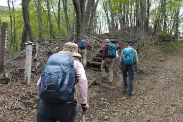 足和田山の林道の脇に木の階段