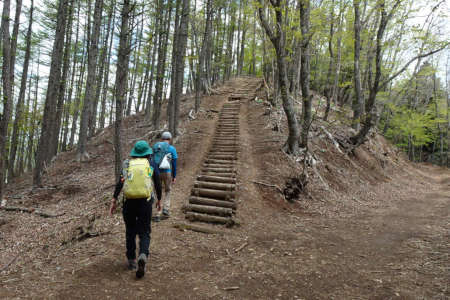 足和田山・林道の脇に階段の登り