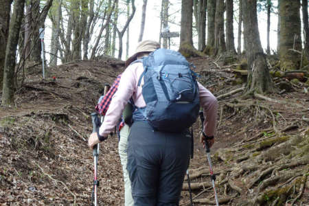 足和田山・最後の登りの先に足和田山