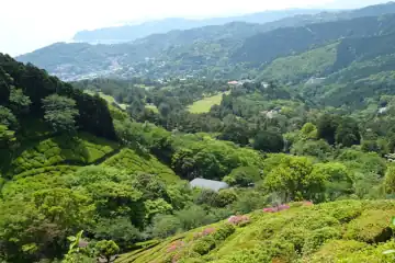 姫の沢公園から伊豆の海岸線