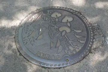 藤野町のマンホール