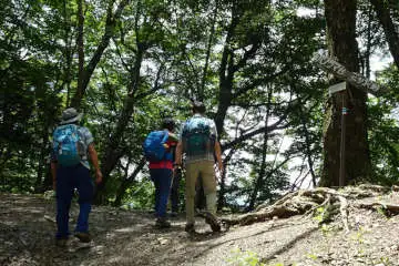 パノラマ台の根子峠