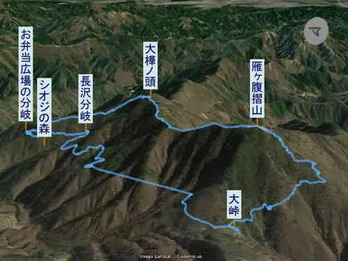 雁ヶ腹摺山からシオジの森・登山コース