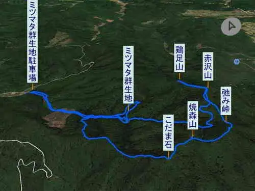 焼森山から鶏足山・登山コース