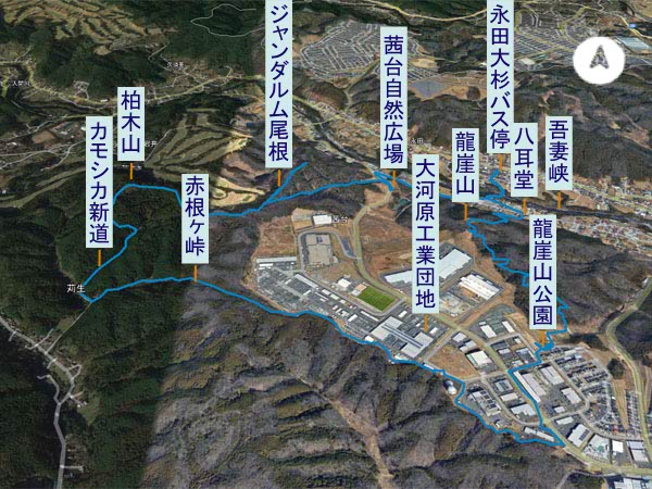 龍崖山から柏木山　登山コース
