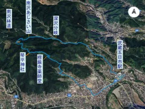 南沢あじさい山から金比羅山　登山コース